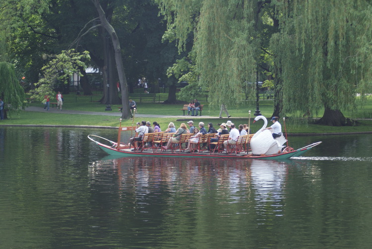 Swan Boats in Boston Commons