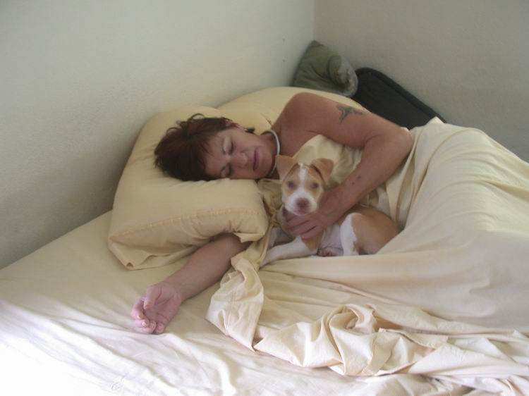 Bed Puppy