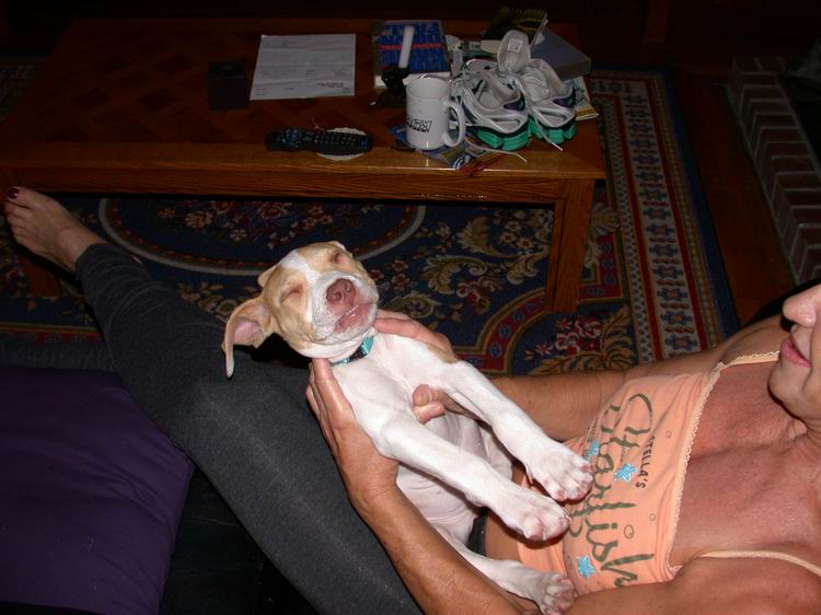 Boneless Dog!