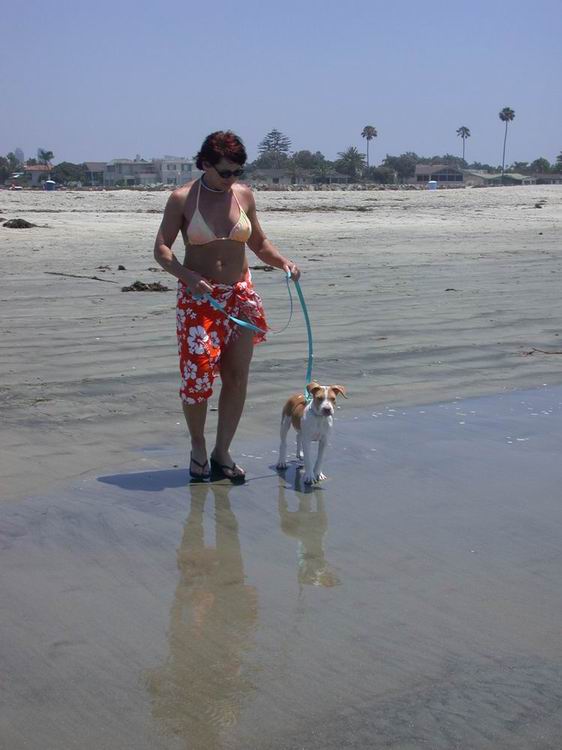 Luna sees the ocean for the first time!