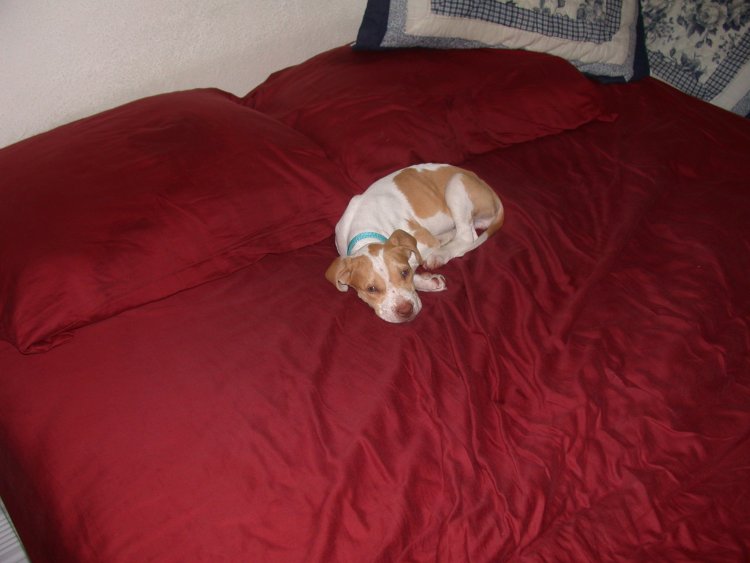Spoiled