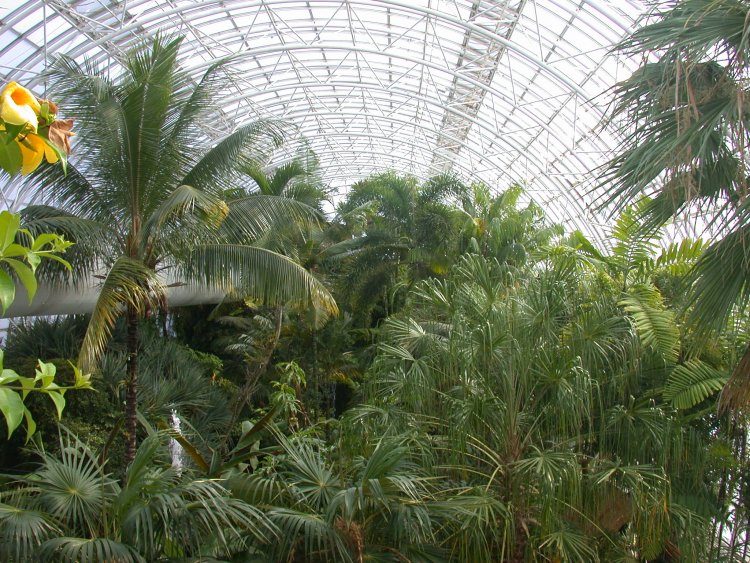 The inside of the Crystal Bridge