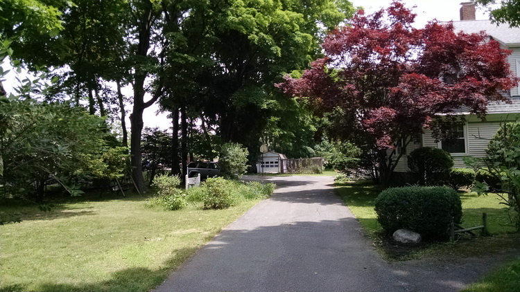 The driveway