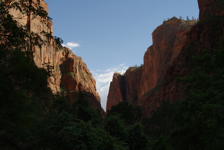 More Zion Awesomeness