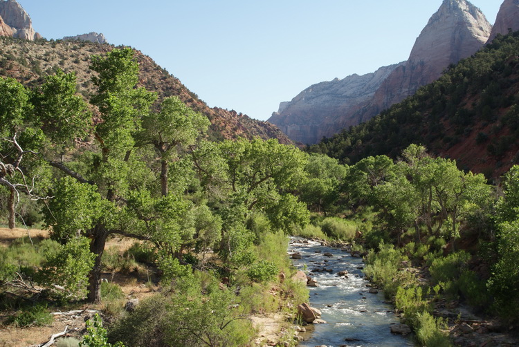 Leaving Zion