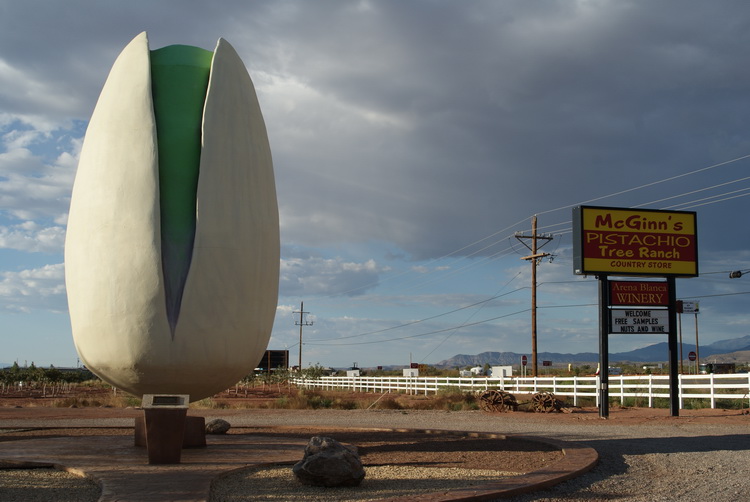 The World's Largest Pistachio