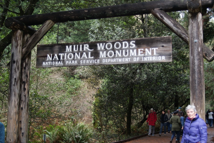 Muir Woods