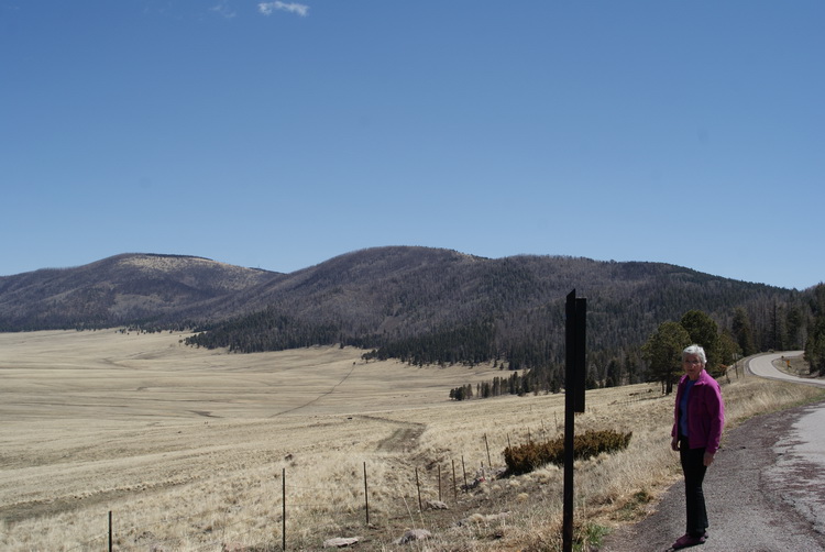 Valle Grande Caldera