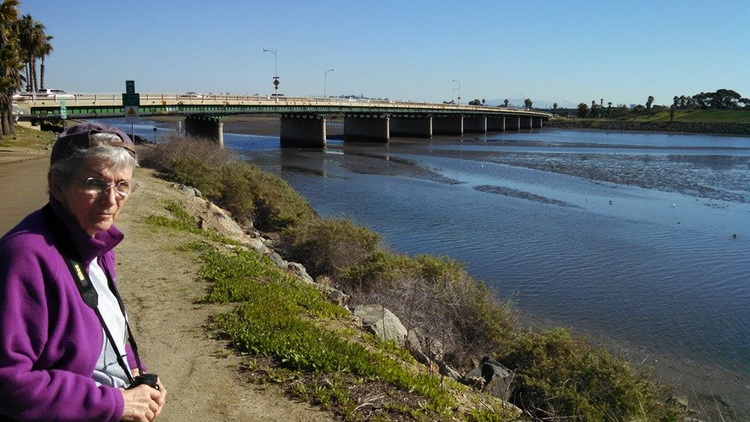 Birding Along the San Diego River