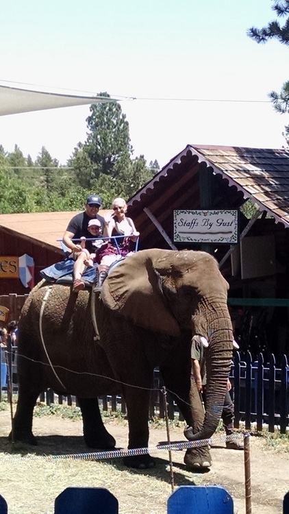 Elephant ride