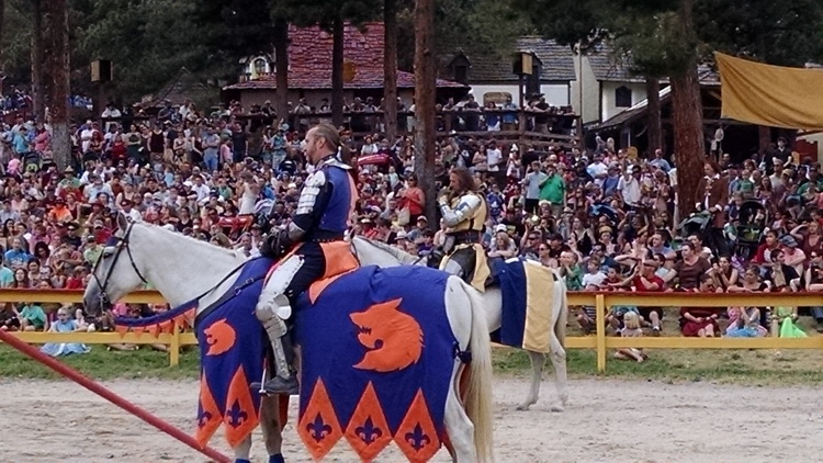 Jousting knights!