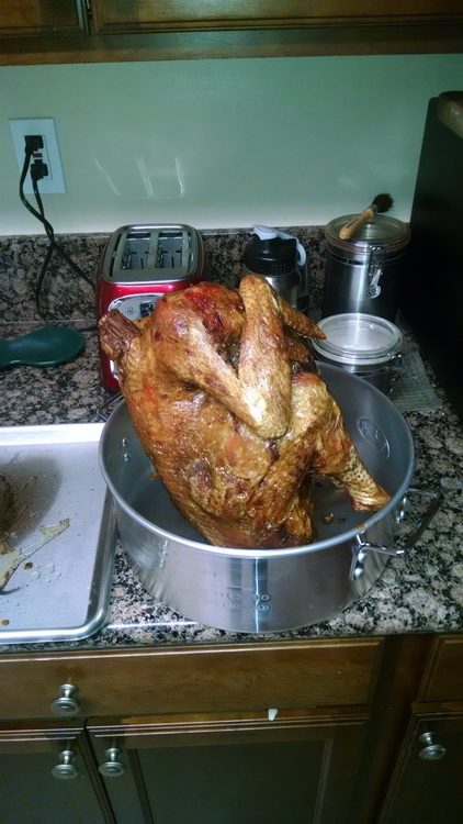 A nicely fried turkey