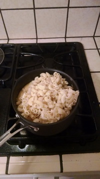 The macaroni on the Gloop