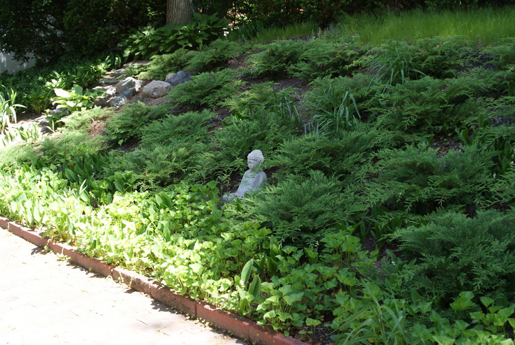 Budda In The Grass