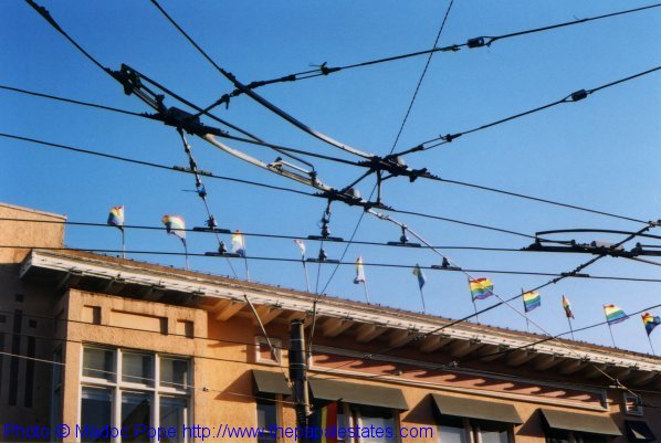 Wires overhead