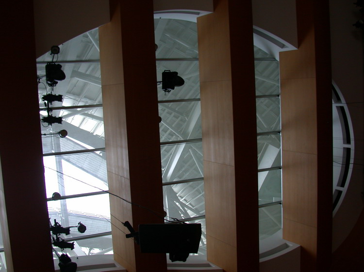 Gehry Skylight 01