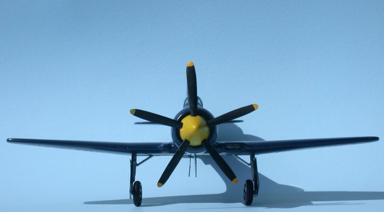 Sea Fury Front