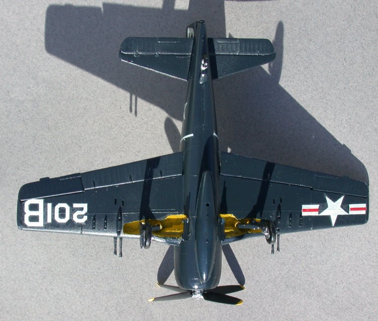 Bearcat from below