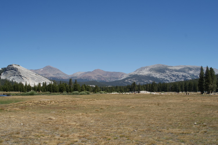 Toulumne Meadows looking east