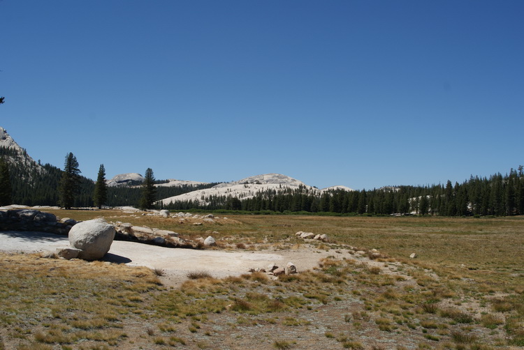 Tuolumne Meadows looking west