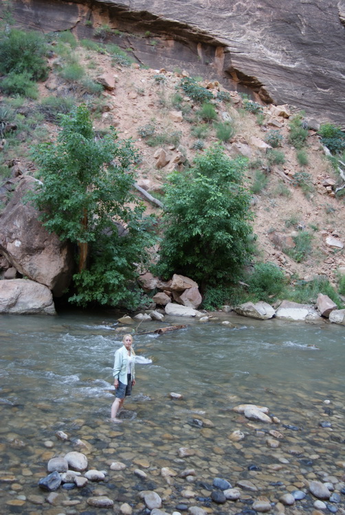 Beauty in mid-stream